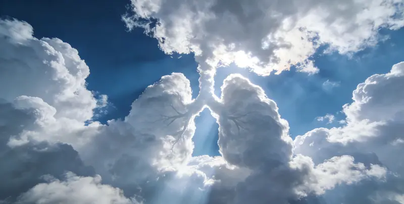 上海肺癌8基因突变检测（组织）图片1