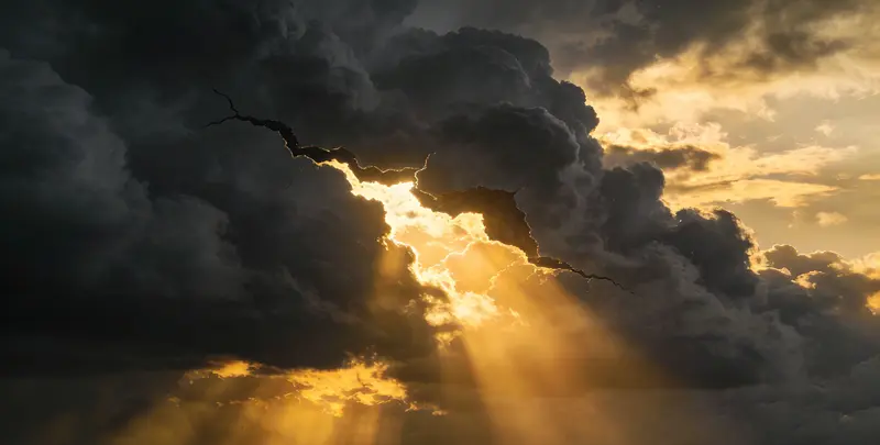 上海肺癌119基因检测图片1