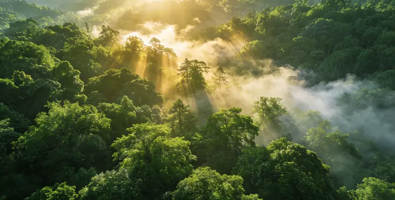 上海肺癌靶向39基因检测及PDL122C3表达检测套餐（组织）图片1